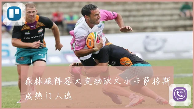 森林狼阵容大变动欧文小卡萨格斯成热门人选