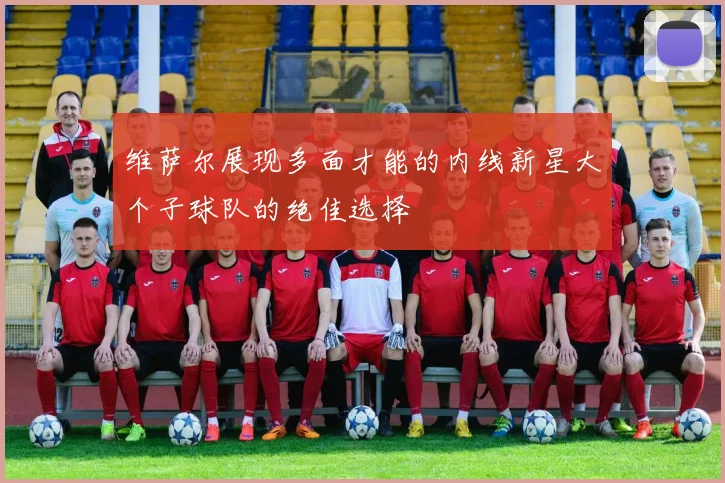 维萨尔展现多面才能的内线新星大个子球队的绝佳选择